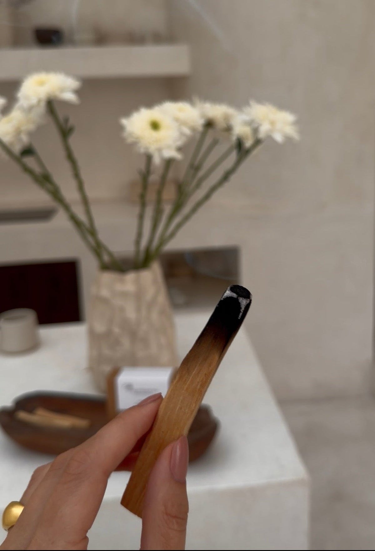 A single smoldering Palo Santo stick releasing a gentle plume of fragrant white smoke in a minimalist room.